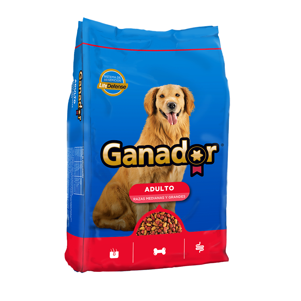 Ganador Adulto Original 20+3Kg