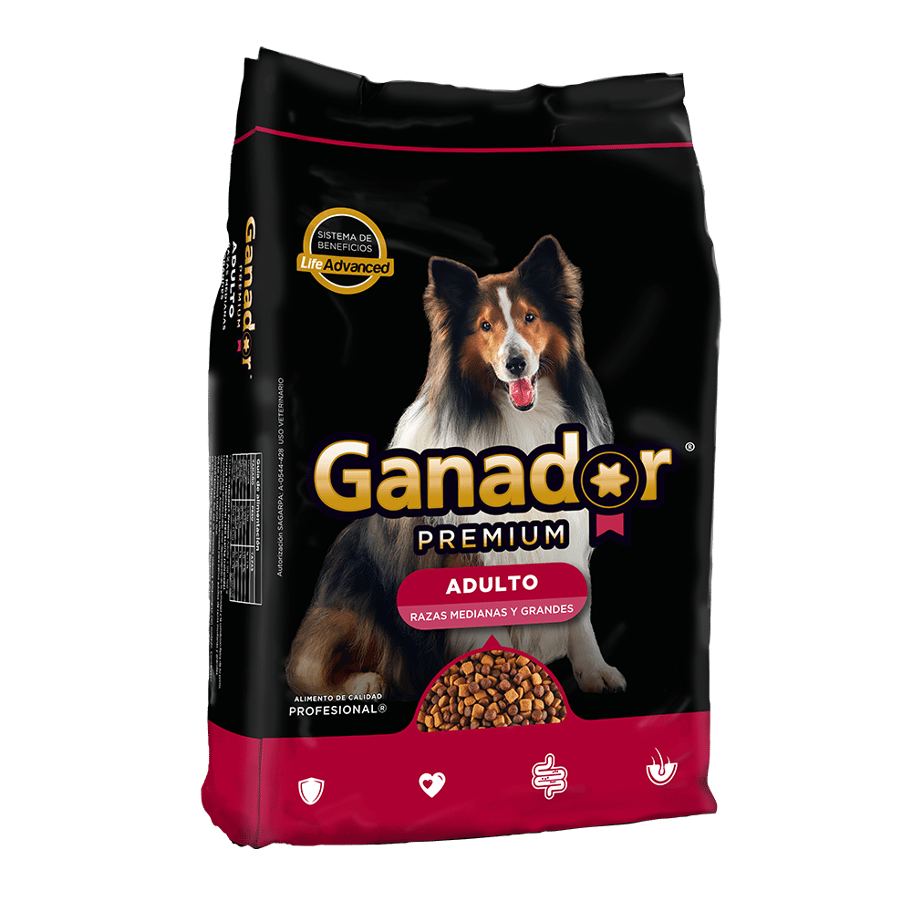 GANADOR PREMIUM ADULTO RZ MYG 20 KG (+1Kg GRATIS)